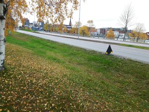 Webbinar: Provtagningsstrategier för övervakning av dagvattenkvalitet